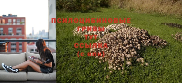 стафф Баксан