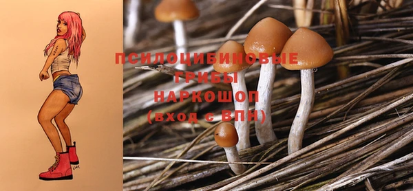 стафф Баксан