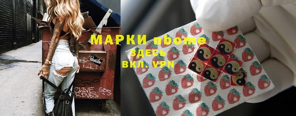 стафф Новокубанск