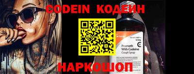 гашик Кингисепп