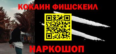 гашик Кингисепп