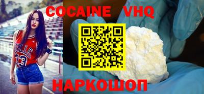гашик Кингисепп