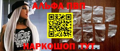 гашик Кингисепп