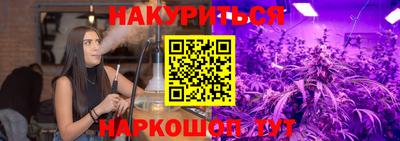 гашик Кингисепп