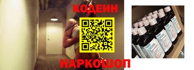 гашик Кингисепп