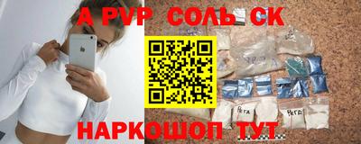 гашик Кингисепп