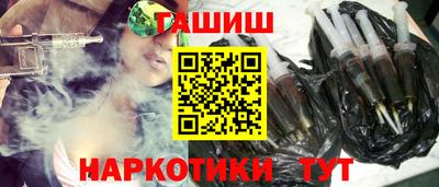 гашик Кингисепп