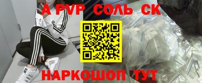 гашик Кингисепп