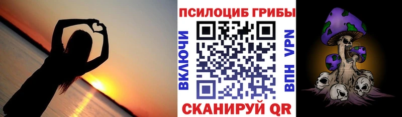Псилоцибиновые грибы GOLDEN TEACHER  где купить наркоту  Мурманск 