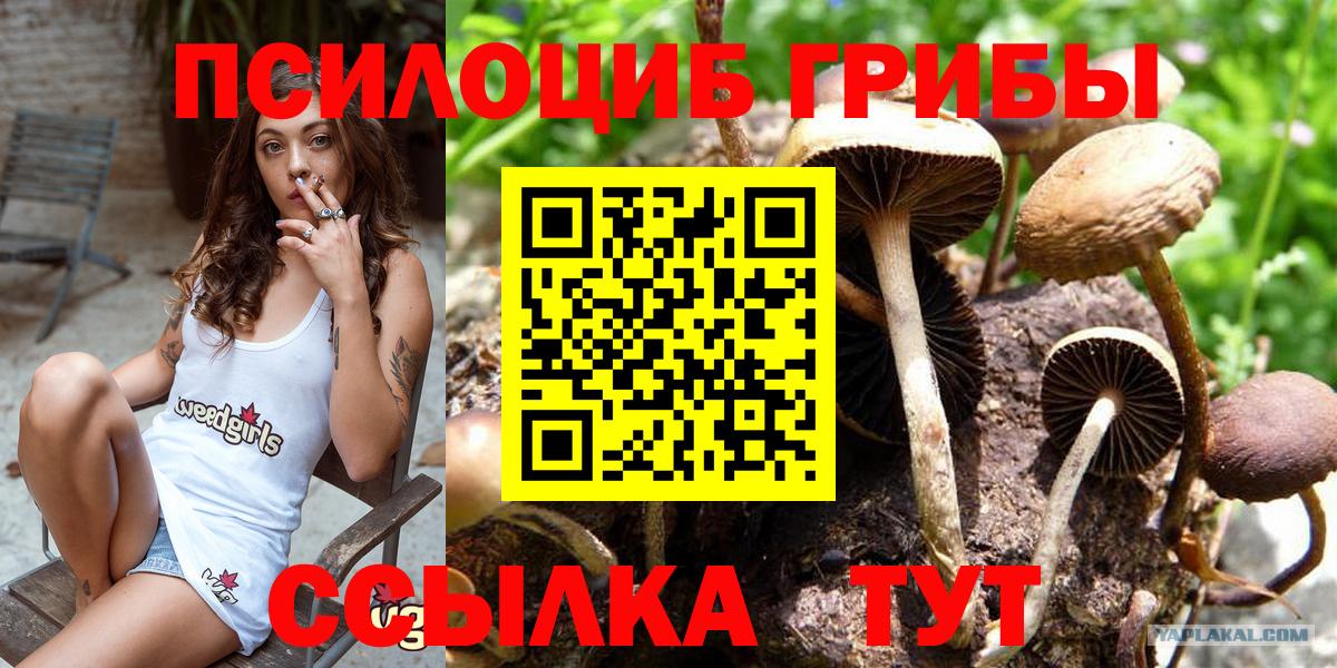 Галлюциногенные грибы MAGIC MUSHROOMS  Вход с VPN  Псилоцибиновые грибы GOLDEN TEACHER  Мурманск 