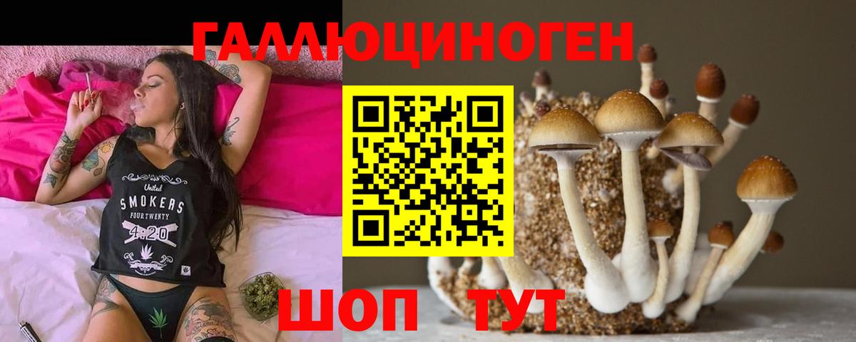 Псилоцибиновые грибы мицелий Мурманск